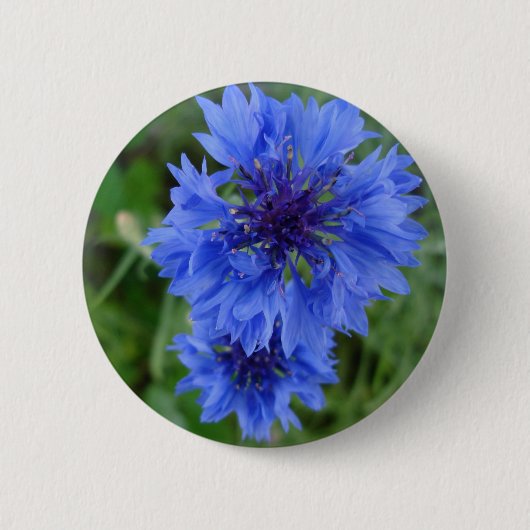Blauwe Button van Cornflower (Voorkant)
