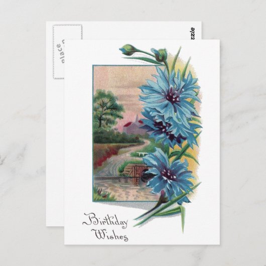 Blauwe Buttonnen van de Bachelor Briefkaart (Voorkant / Achterkant)