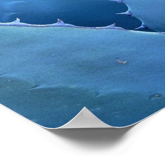 Blauwe cactus poster (Hoek)