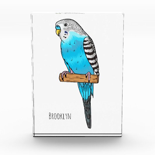 Blauwe cartoon fotoblokken (Voorkant)