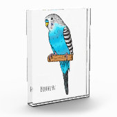 Blauwe cartoon fotoblokken (Links)