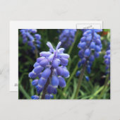 Blauwe cellen briefkaart (Voorkant / Achterkant)