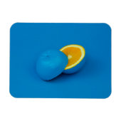 Blauwe citroen in twee helften gesneden magneet (Horizontaal)