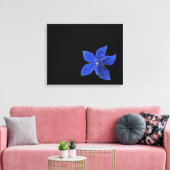 Blauwe Clematis op zwart omwikkeld canvas Afdruk (Insitu (Woonkamer))