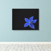Blauwe Clematis op zwart omwikkeld canvas Afdruk (Insitu (Houten vloer))