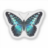 Blauwe Clipper Vlinder Sticker | Waterverf (Voorkant)