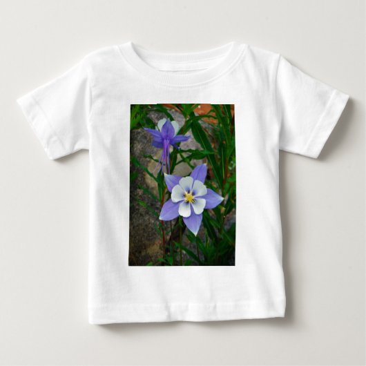 Blauwe columbine (Voorkant)