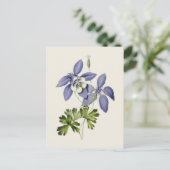  Blauwe Columbine Bloem Illustratie Briefkaart (Staand voorkant)