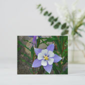Blauwe columbine briefkaart (Staand voorkant)