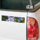 Blauwe columbine bumpersticker (Op Truck)