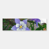 Blauwe columbine bumpersticker (Voorkant)