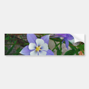 Blauwe columbine bumpersticker