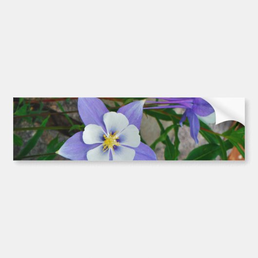 Blauwe columbine bumpersticker (Voorkant)
