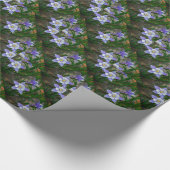 Blauwe columbine cadeaupapier (Hoek)