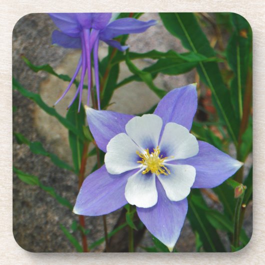 Blauwe columbine drankjes onderzetter (Voorkant)