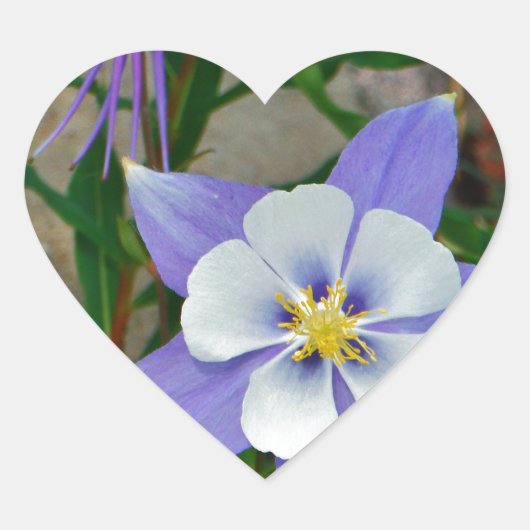 Blauwe columbine hart sticker (Voorkant)