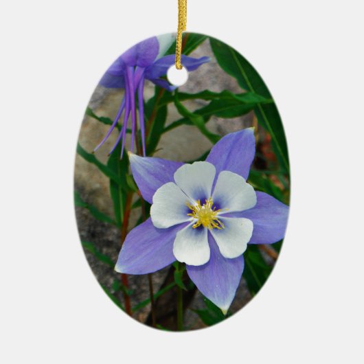 Blauwe columbine keramisch ornament (Voorkant)