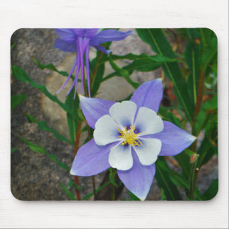 Blauwe columbine muismat