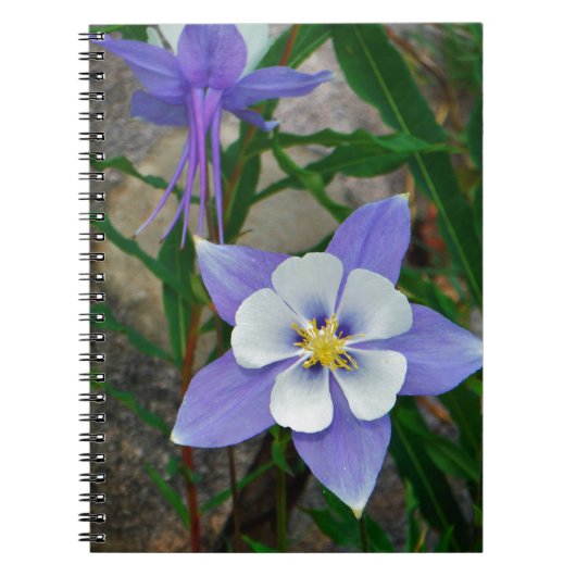 Blauwe columbine notitieboek (Voorkant)
