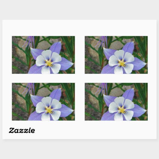 Blauwe columbine rechthoekige sticker (Vel)