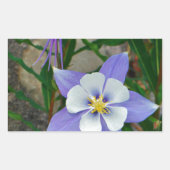 Blauwe columbine rechthoekige sticker (Voorkant)