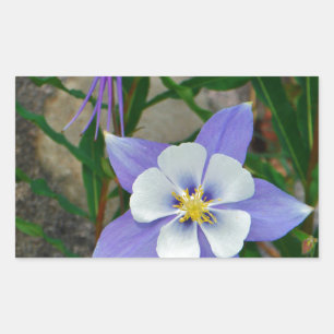 Blauwe columbine rechthoekige sticker