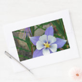 Blauwe columbine rechthoekige sticker (Envelop)