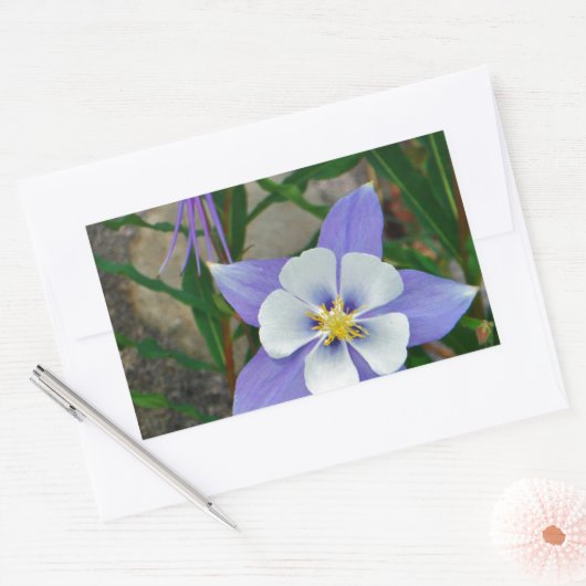 Blauwe columbine rechthoekige sticker (Envelop)