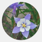 Blauwe columbine ronde sticker (Voorkant)