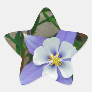 Blauwe columbine ster sticker
