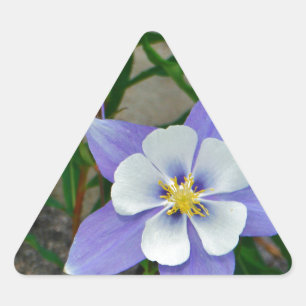 Blauwe columbine sticker