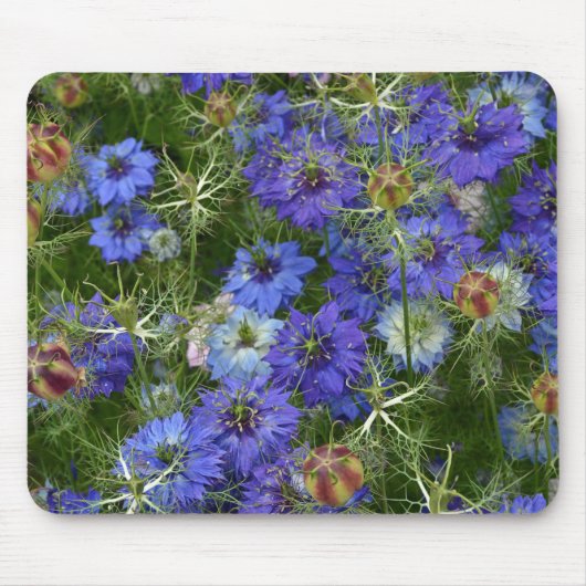 Blauwe cornbloemen muismat (Voorkant)
