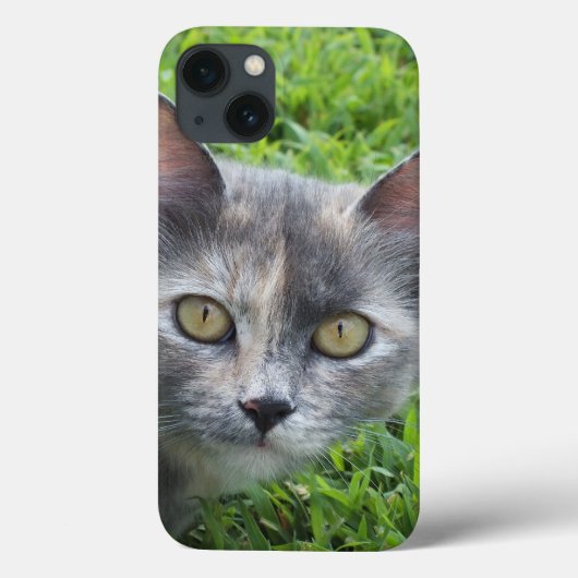 Blauwe crème - Tortie Kat iPad-draagtas Case-Mate iPhone Case (Achterkant)