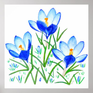 Blauwe Crocus Bloemen Print