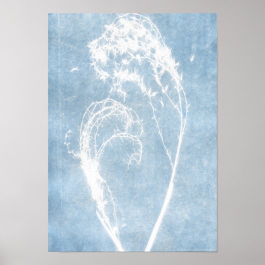 Blauwe Cyanotype Plant Hart Poster (Voorkant)