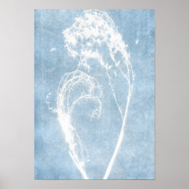 Blauwe Cyanotype Plantenhart Poster