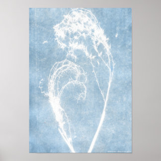 Blauwe Cyanotype Plantenhart Poster