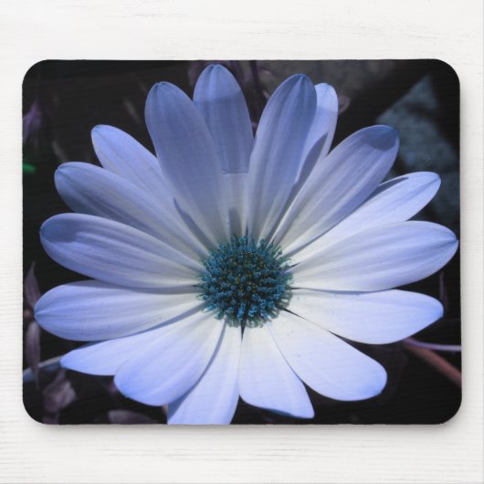 Blauwe Daisy Bloem Muismat (Voorkant)