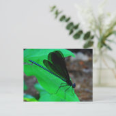 Blauwe Damselfly op een groen blad. Briefkaart (Staand voorkant)