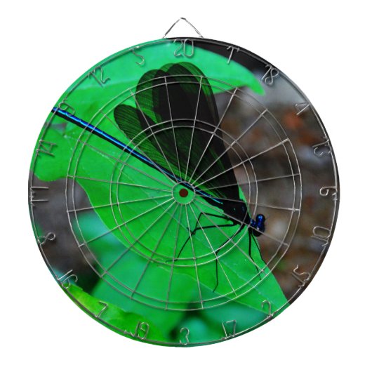 Blauwe Damselfly op een groen blad. Dartbord (Voorkant)