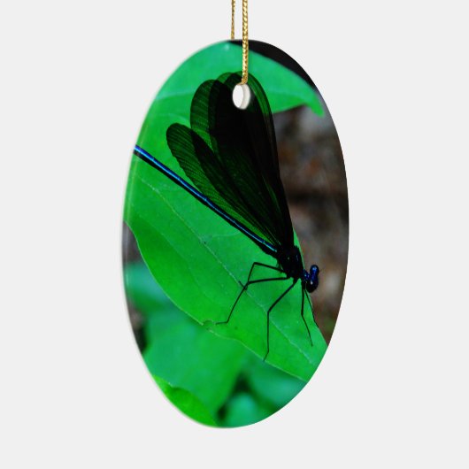 Blauwe Damselfly op een groen blad. Keramisch Ornament (Rechts)