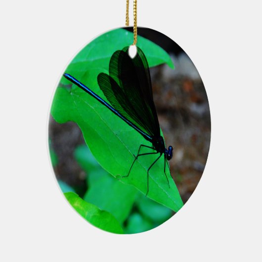 Blauwe Damselfly op een groen blad. Keramisch Ornament (Rechts)