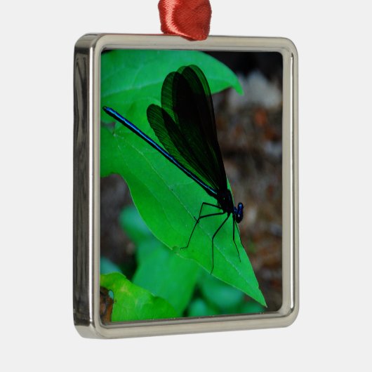 Blauwe Damselfly op een groen blad. Metalen Ornament (Rechts)