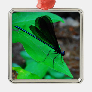 Blauwe Damselfly op een groen blad. Metalen Ornament