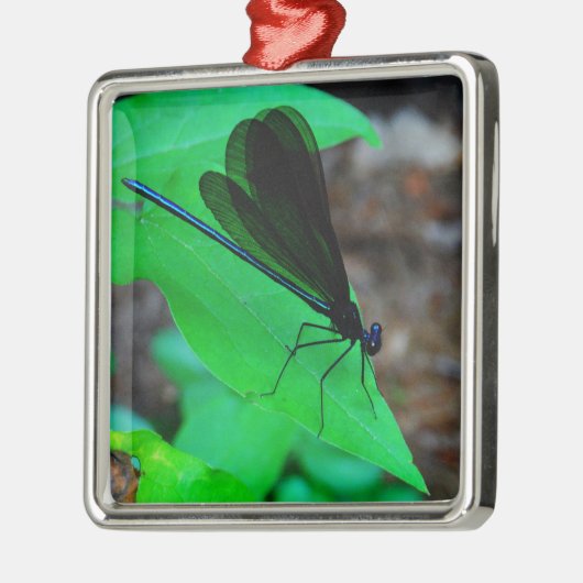 Blauwe Damselfly op een groen blad. Metalen Ornament (Links)