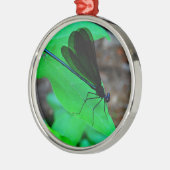 Blauwe Damselfly op een groen blad. Metalen Ornament (Links)