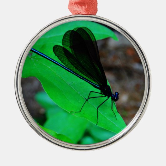 Blauwe Damselfly op een groen blad. Metalen Ornament (Voorkant)
