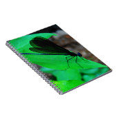 Blauwe Damselfly op een groen blad. Notitieboek (Rechterzijde)