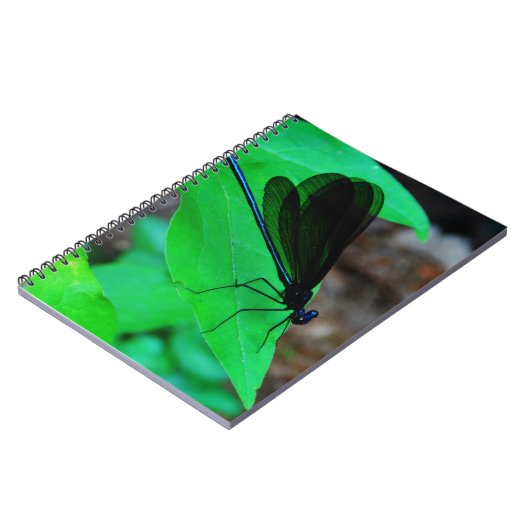 Blauwe Damselfly op een groen blad. Notitieboek (Linkerzijde)