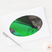 Blauwe Damselfly op een groen blad. Ovale Sticker (Envelop)